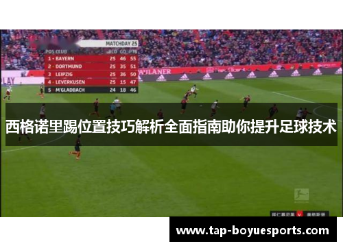 西格诺里踢位置技巧解析全面指南助你提升足球技术